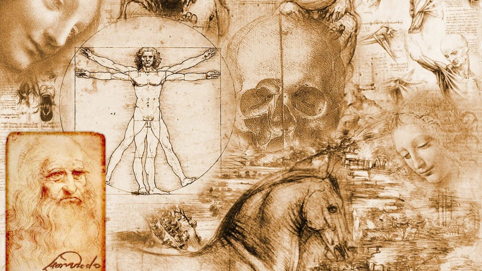 Работы да винчи фото Leonardo da Vinci, Vitruvian Man, Artwork leonardo da vinci vitruvian man #artwo