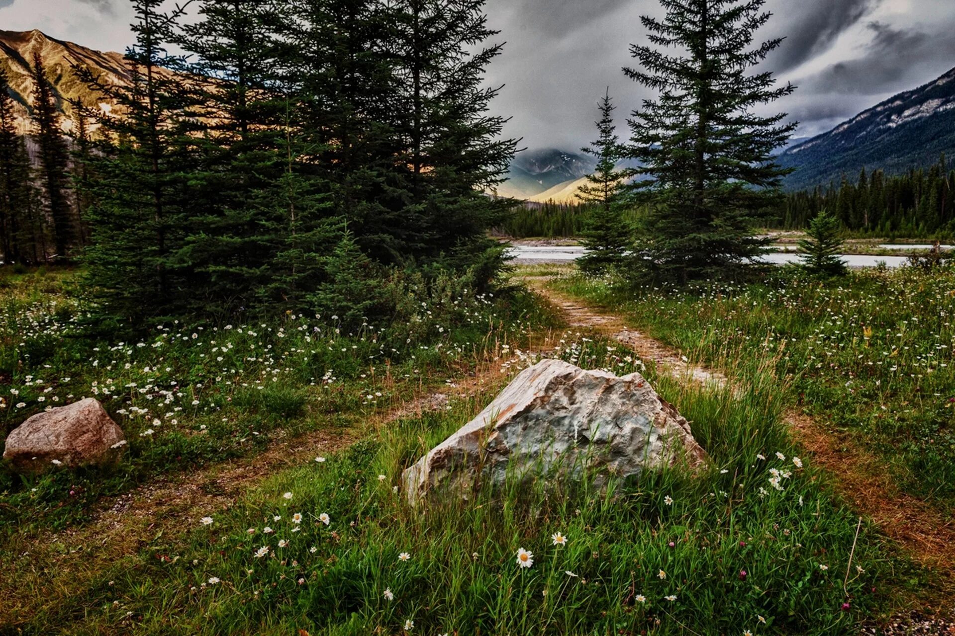 Работы фото природы Wallpaper : landscape, forest, lake, rock, nature, grass, pine trees, wilderness