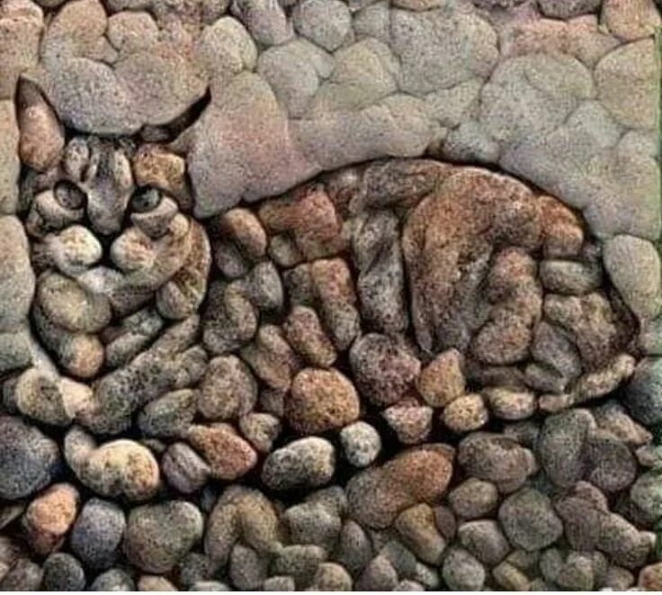 Работы камнями фото Pin by Suna Suna on TAŞ (ÇAKIL) SANATI Cat art, Pebble art, Stone art