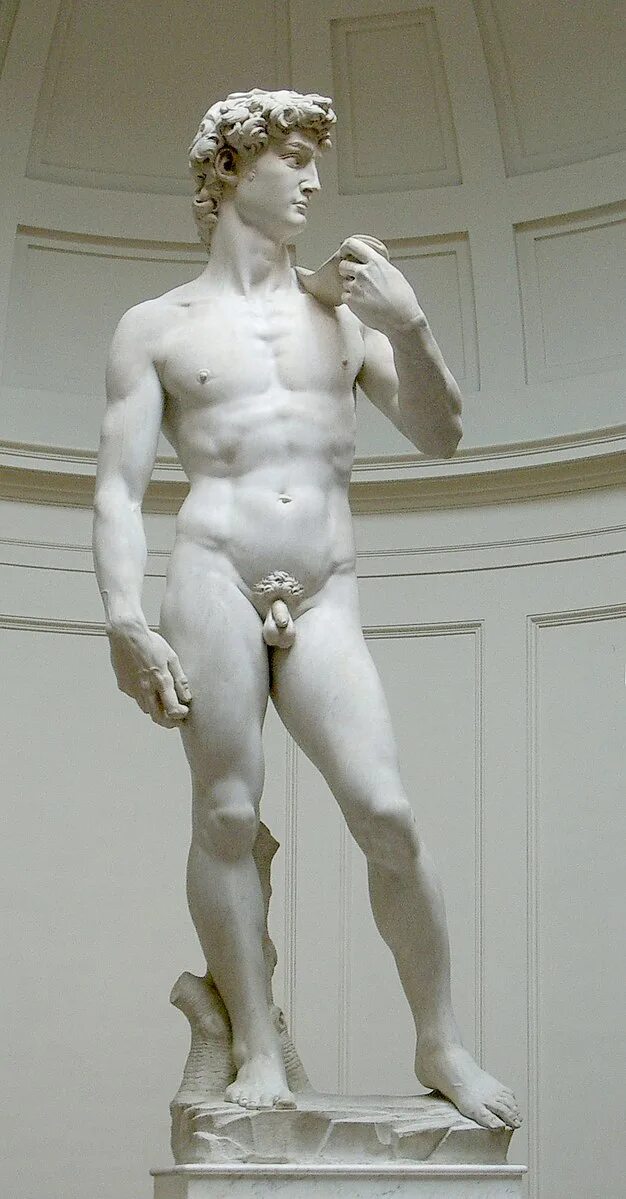 Работы микеланджело фото Файл:David von Michelangelo.jpg - Вікіпедія