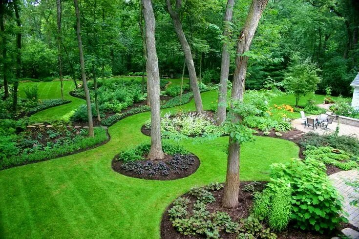 Работы на участке фото Pin by Drbendova on Garden Large yard landscaping, Large backyard landscaping, B