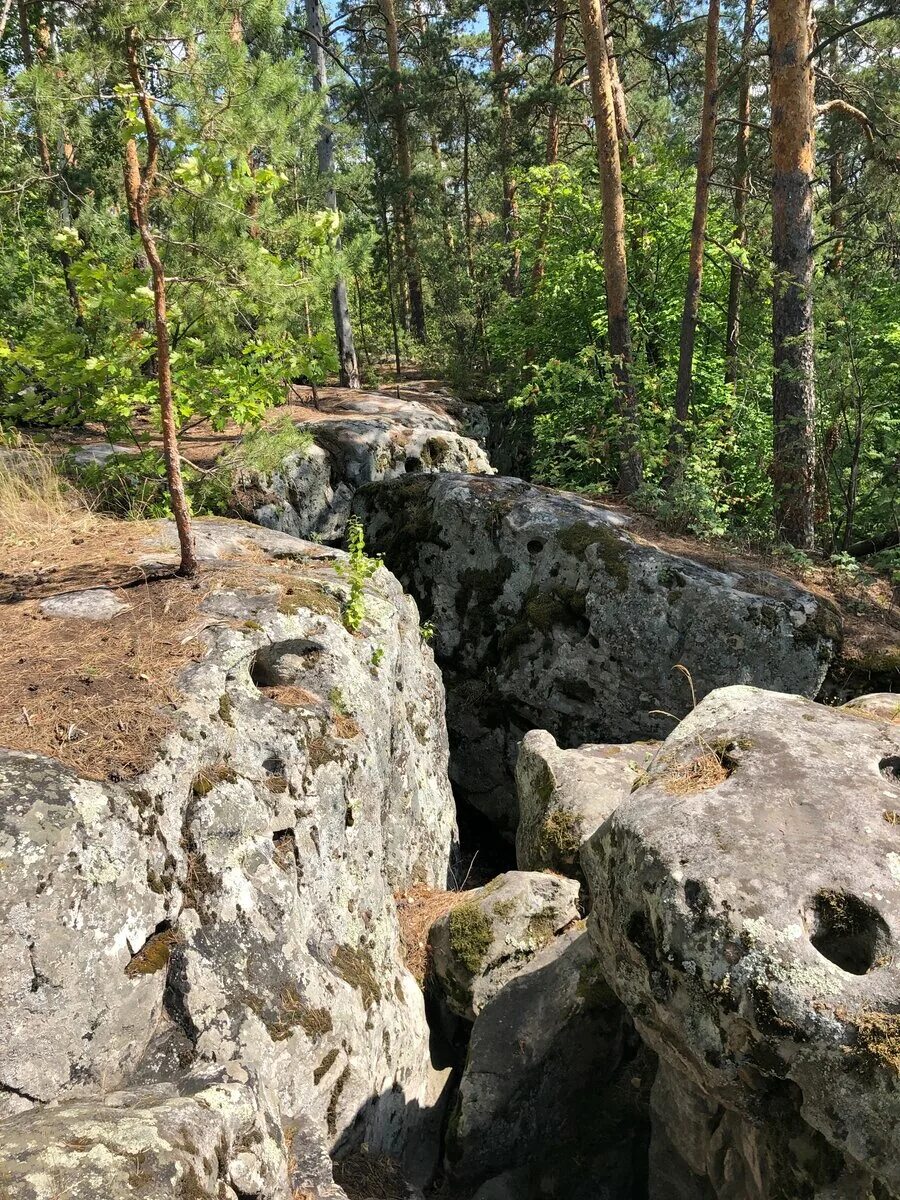 Рачеевские альпы самарской области фото Рачейские Альпы в Самарской области Обзор самарской Швейцарии со скалами необычн