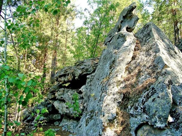 Рачейские скалы самарская область фото Достопримечательности Самарской области Рачейский бор Расположение: Самарская об