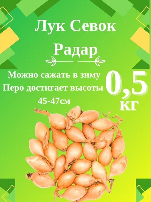 Радар лук описание озимый отзывы сорта фото Лук севок сорт "Радар" 0.5 кг ОгородNIK купить по цене 340 ₽ в интернет-магазине