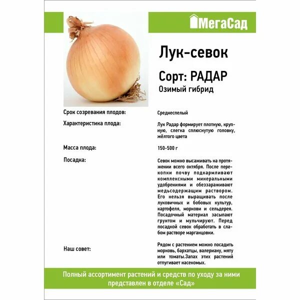 Радар описание сорта фото отзывы цена Лук-севок Радар 1кг 403103 купить с доставкой в МЕГАСТРОЙ Наб.Челны