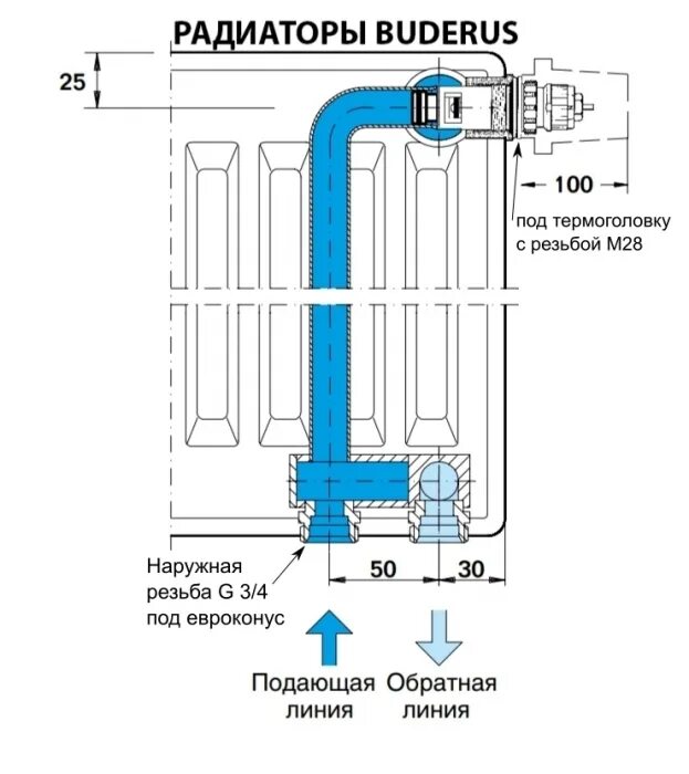 Радиатор с нижним подключением чертеж Нижнее подключение 22, 21, 11, 33, 10, 20, 30 тип, Buderus, Purmo купить в Мурма