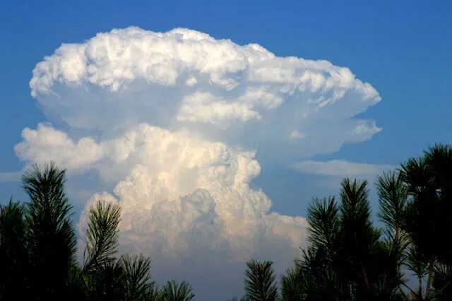 Радоновые облака фото Mushroom Clouds Clouds photography, Clouds, Sky and clouds