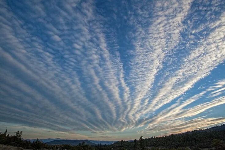 Радоновые облака фото Predict The Weather Using The Clouds Cirrus cloud, Clouds, Clouds pattern