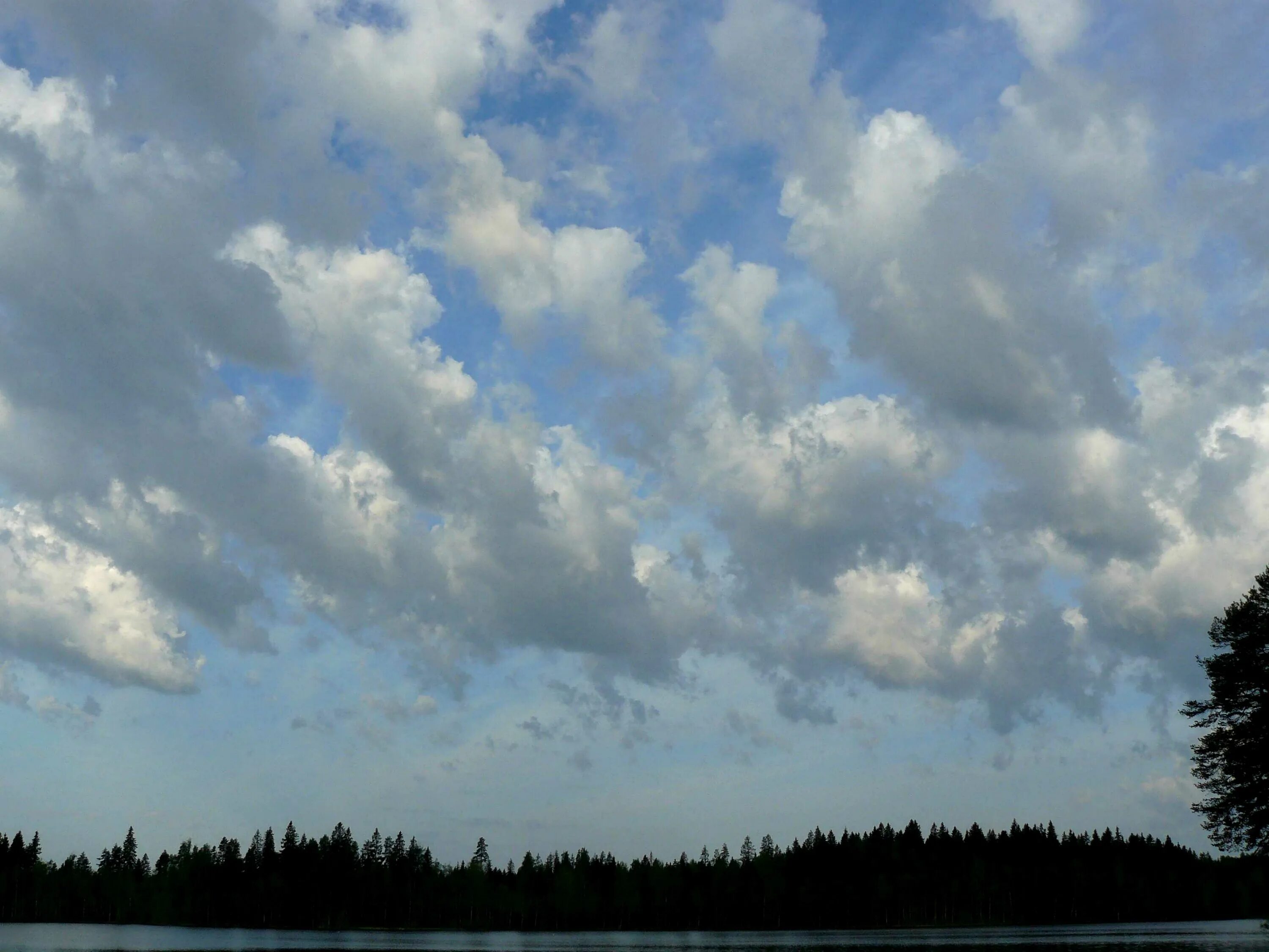 Радоновые облака фото Stratocumulus floccus (Sc flo) International Cloud Atlas