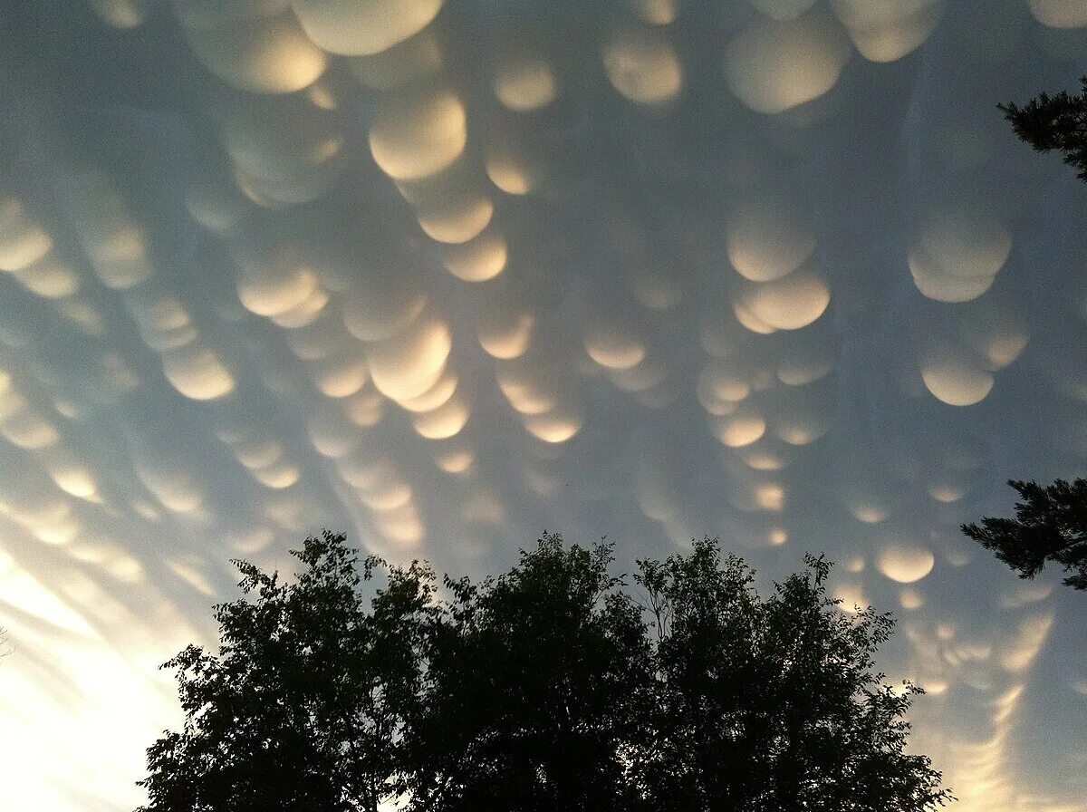 Радоновые облака фото Файл:Mammatus clouds regina sk june 2012.JPG - Вікіпедія