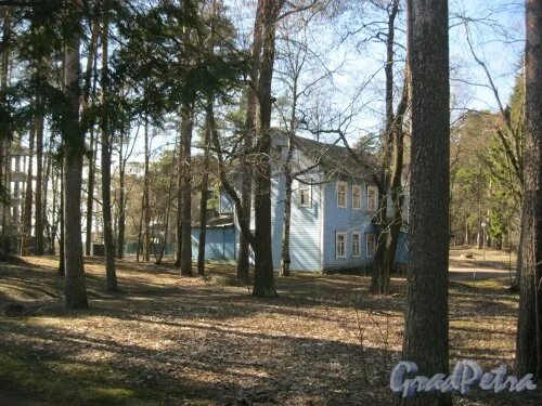 Panorama: Raduga, zoo, Russia, Zelenogorsk, Primorskoye shosse, 536А - Yandex.Ma