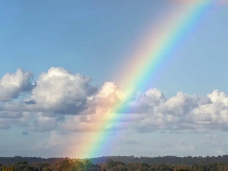 Радуга с облаками фото Rainbow in the sky. Rainbow sky, Blue sky wallpaper, Rainbow images