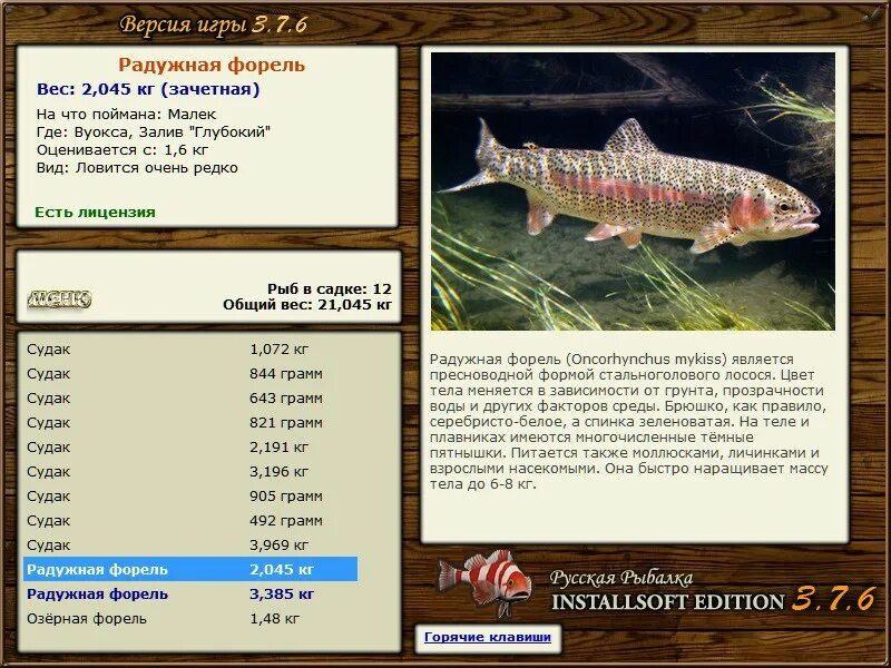 Радужная форель на что ловить РУССКАЯ РЫБАЛКА Installsoft Edition