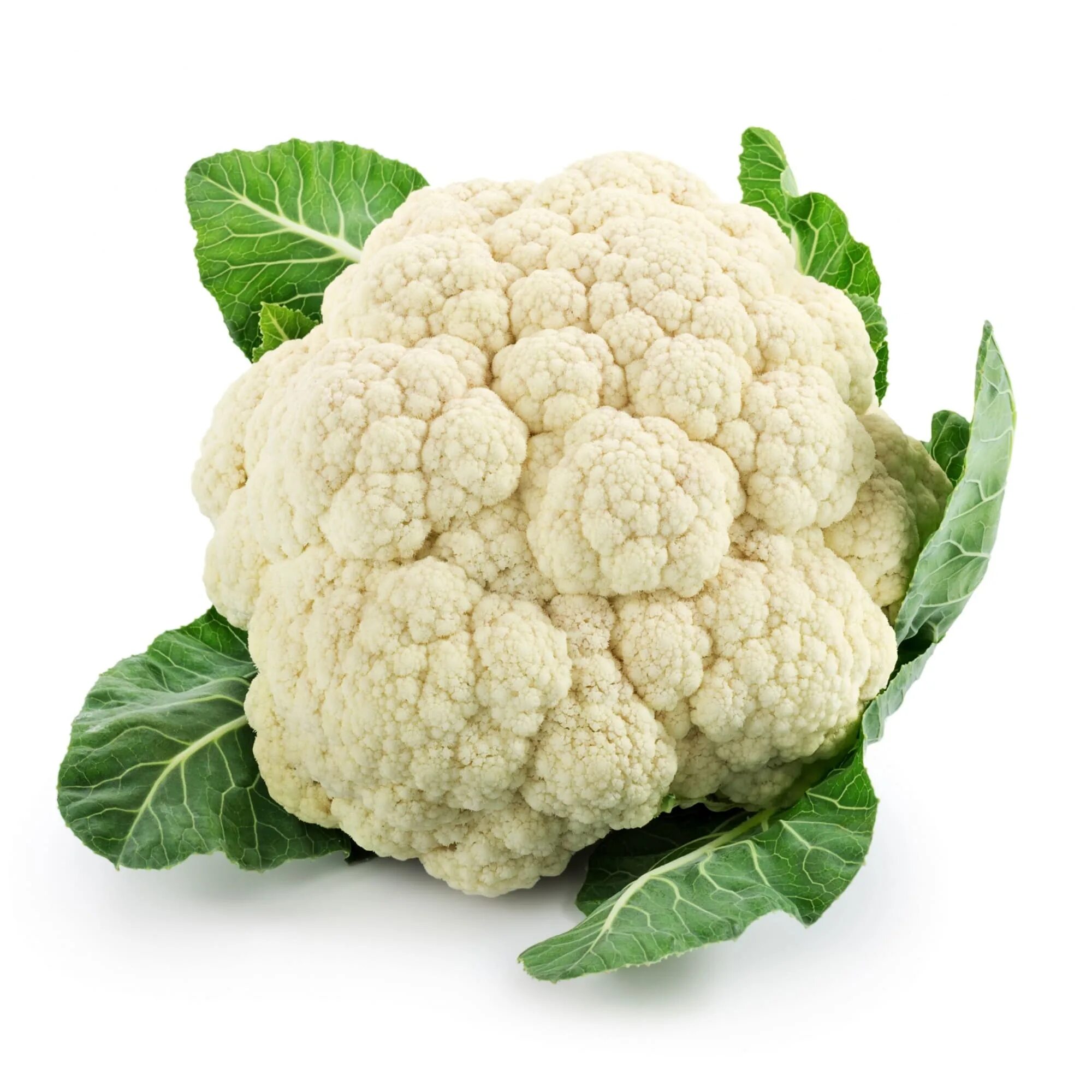 Egrow 100 pcs/pack cauliflower seeds vegetable broccoli bonsai balconies cabbage