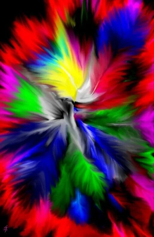 Радужные перья фото Feathers World of color, Color splash, Fractal art