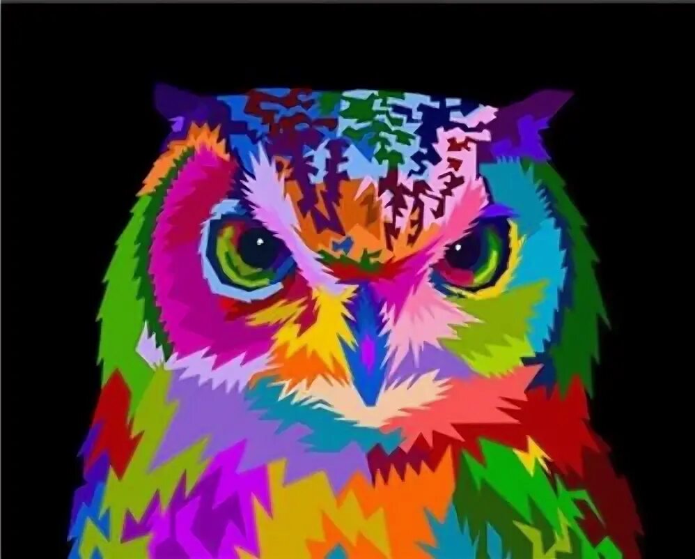 Радужные животные картинки Colorful Owl Paint By Numbers - Numeral Paint Kit