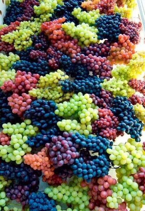 Радужный виноград фото Rainbow grapes Grapes, Fresh fruit, Fruit