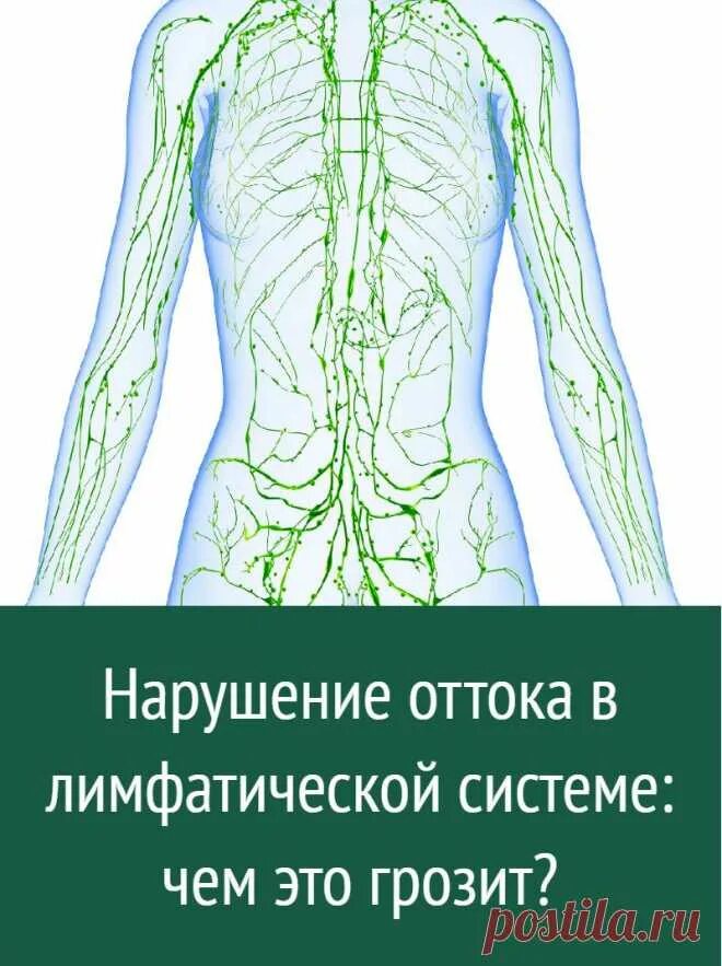 Рак лимфатической системы фото Нарушение оттока в лимфатической системе: чем это грозит? Полезные советы Постил