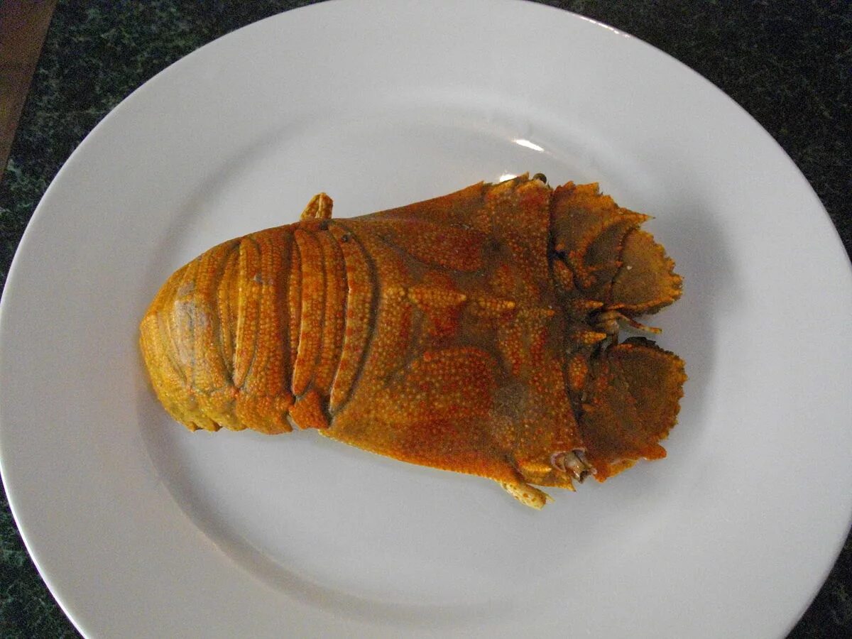 Рак медведь фото File:Cooked whole Moreton Bay Bug.JPG - Wikipedia