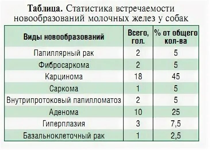 Рак молочной железы у собаки фото Опухоль молочной железы у собаки: симптомы, лечение, удаление опухоли, послеопер