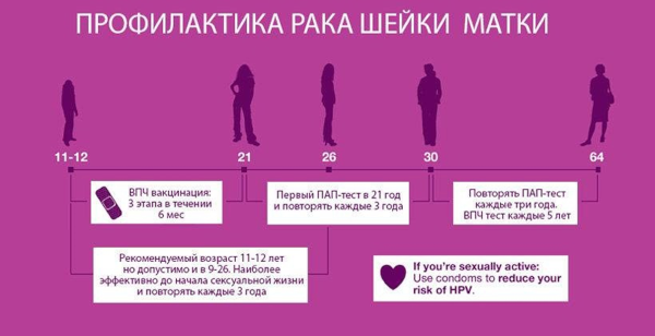 Профилактика рака шейки матки