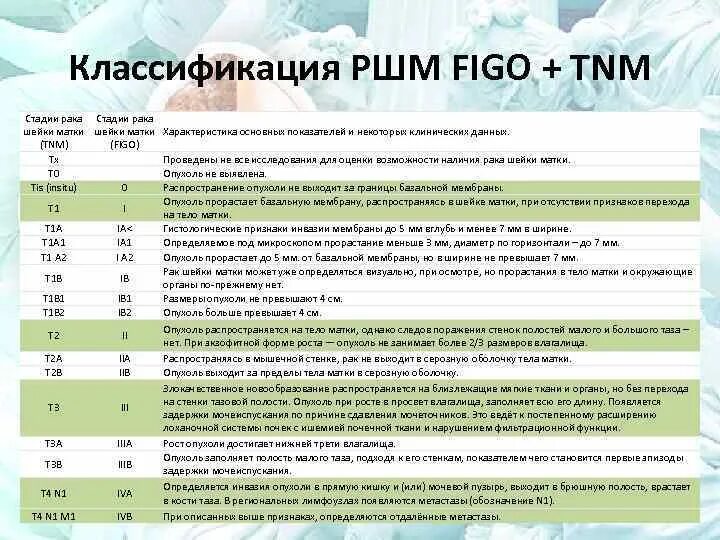 Рак шейки матки симптомы фото Рак матки рецидивы симптомы: найдено 90 изображений