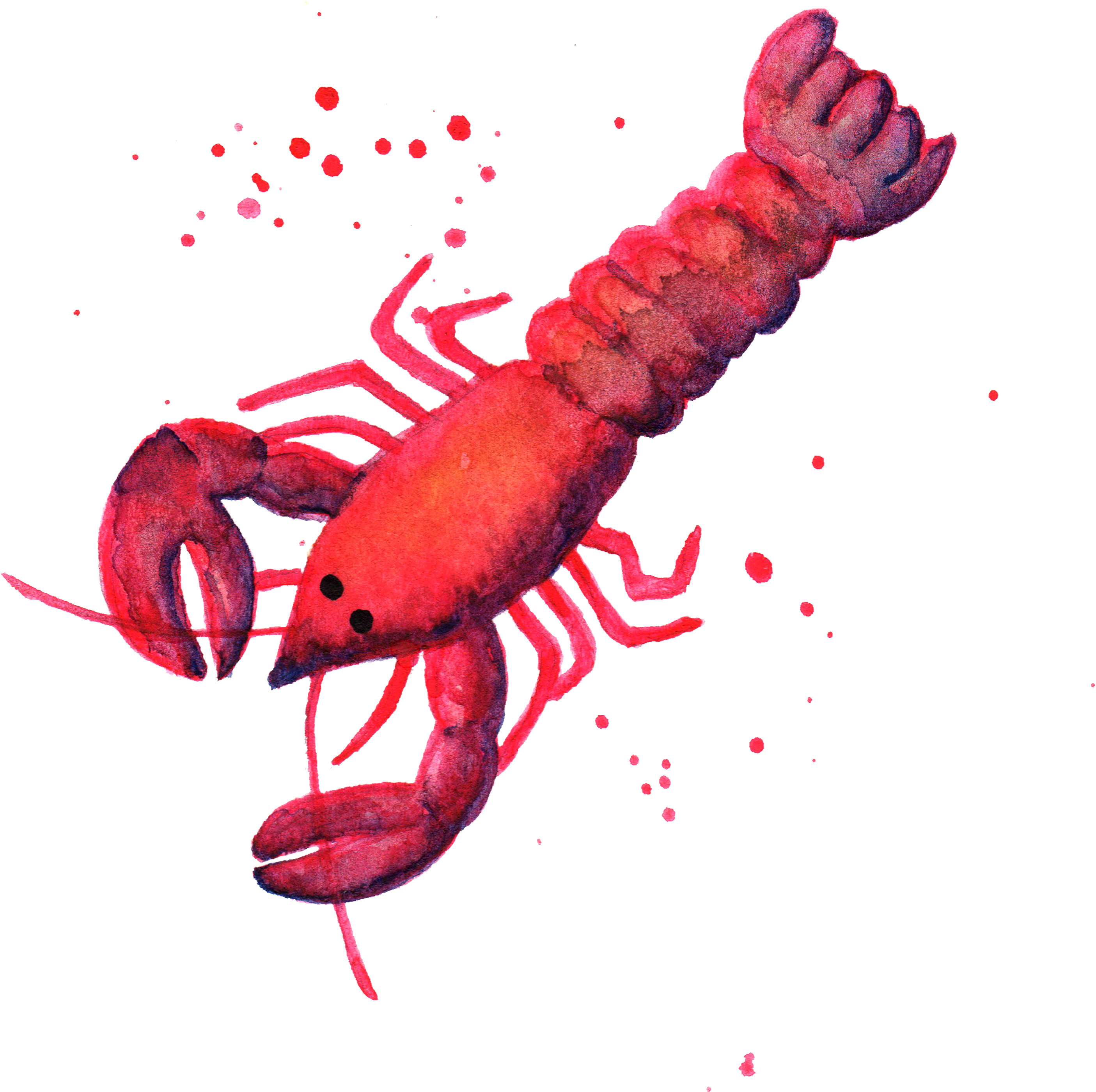 Рак животное картинка Art - Lobster Png - (3000x3000) Png Clipart Download