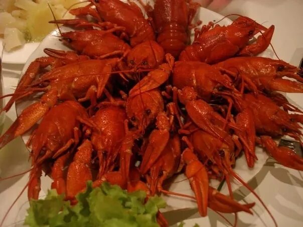 Раки фото ночью Beautifully eat not ban ☺ especially our crayfish that are cooked by special rec