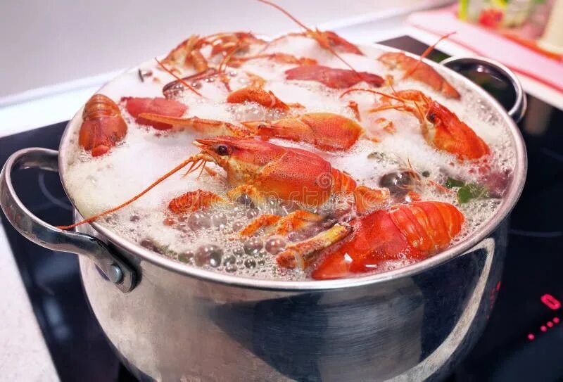 Раки в кастрюле фото Fresh Crayfish are Cooked in a Pot with Water. Stock Photo - Image of cooked, co