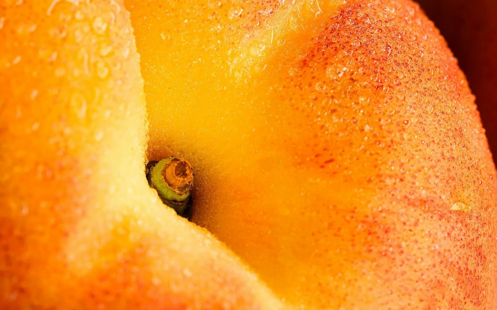 Ракушка или персик у девушки фото Peach fruit, Fruit wallpaper, Fruit