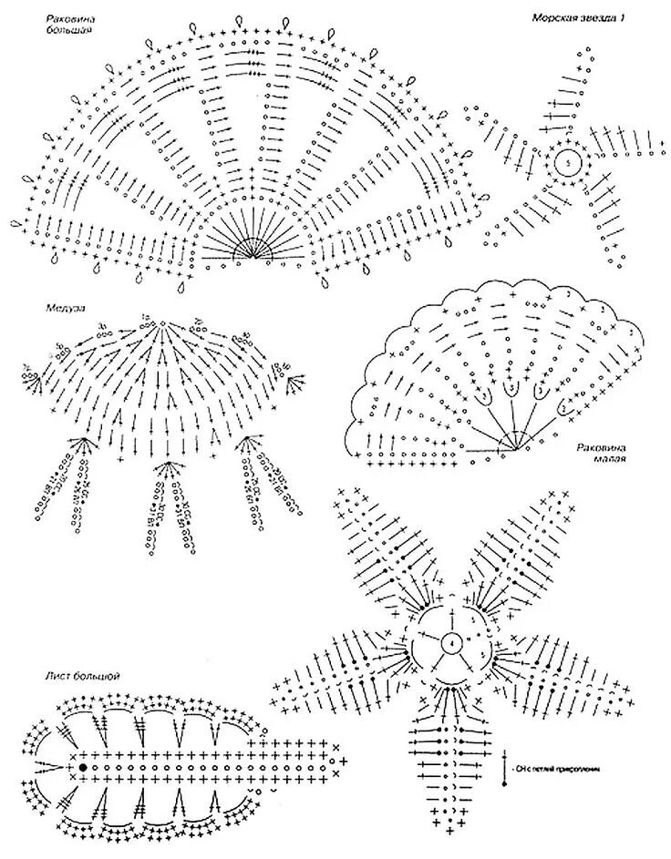 Ракушка крючком схема и описание КОРАЛЛЫ, РЫБЫ И РАКУШКИ "на крючке". Тема подводных просторов в трикотаже. МОРЕ 