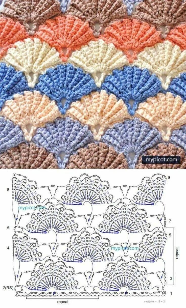 Ракушка крючком со схемами Pin by Giovanna Francesca Urbano on motivi Crochet shell stitch, Crochet chart, 