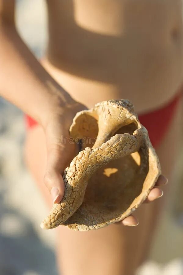 Ракушка у женщин фото как выглядит Woman holding conch shell. stock photo. Image of recreation - 2051748