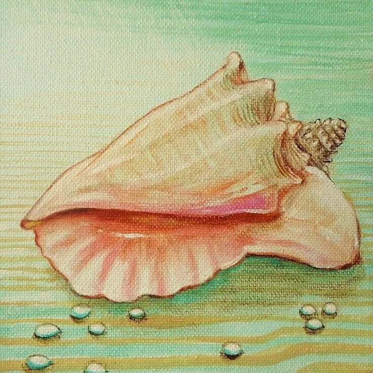 Ракушка женская как выглядит щавель и персик Coastal Painting Signed Original Seashell Seashore Mini Canvas Beach Decor Wall 