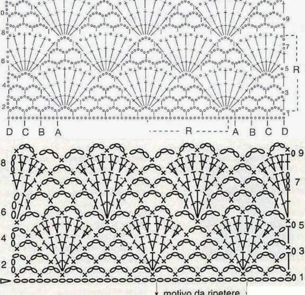 Ракушки крючком схемы для начинающих Pin on CROCHET PUNTADAS Crochet stitches patterns, Crochet lace edging, Baby afg