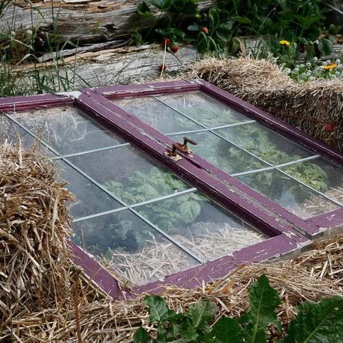 Рам своими руками в домашних условиях Find Out Which Type of Cold Frame Is Best - FineGardening Tuin ideeën, Tuin, Moe