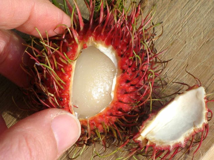 Рамбутан фрукт фото на вкус Buying and Preparing Fresh Tropical Rambutan Fruit Fruit, Exotic fruit, Best fru