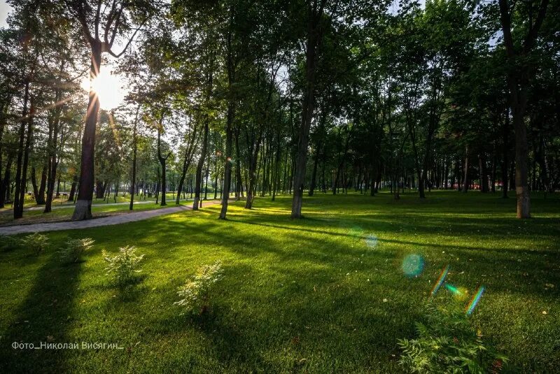 Раменский городской парк фото Городской парк откроют в Раменском 08.07.2023 - МОИНС Раменский