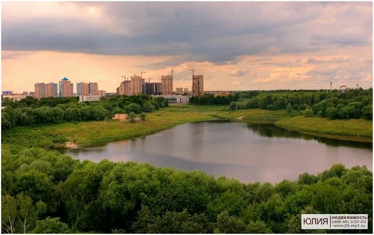 Раменское фото города Раменское - Московская обл. Город, Недвижимость, Леса