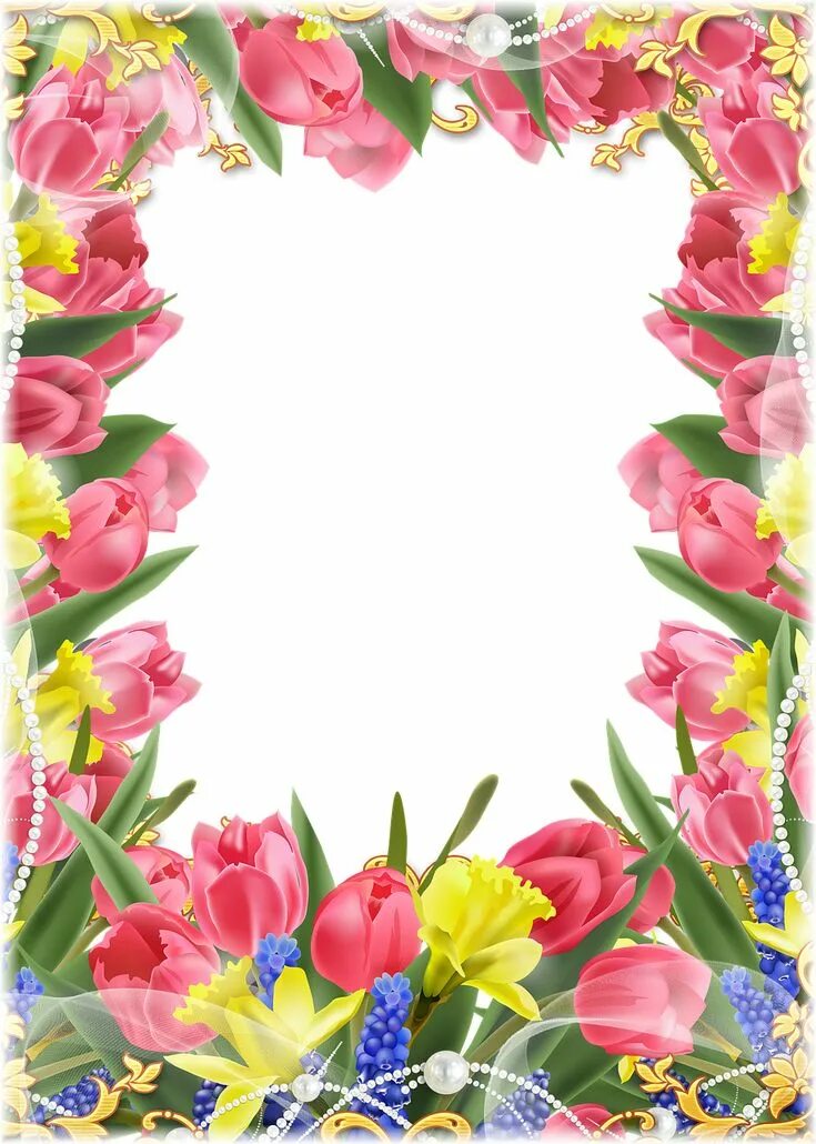 Рамка 8 фото Tulipany Ramka Na Zdjęcia Kwiaty - Darmowy obraz na Pixabay Flower frame, Free p