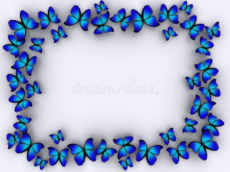 Рамка для фото бабочки Butterfly border stock illustration. Illustration of purity - 3492678