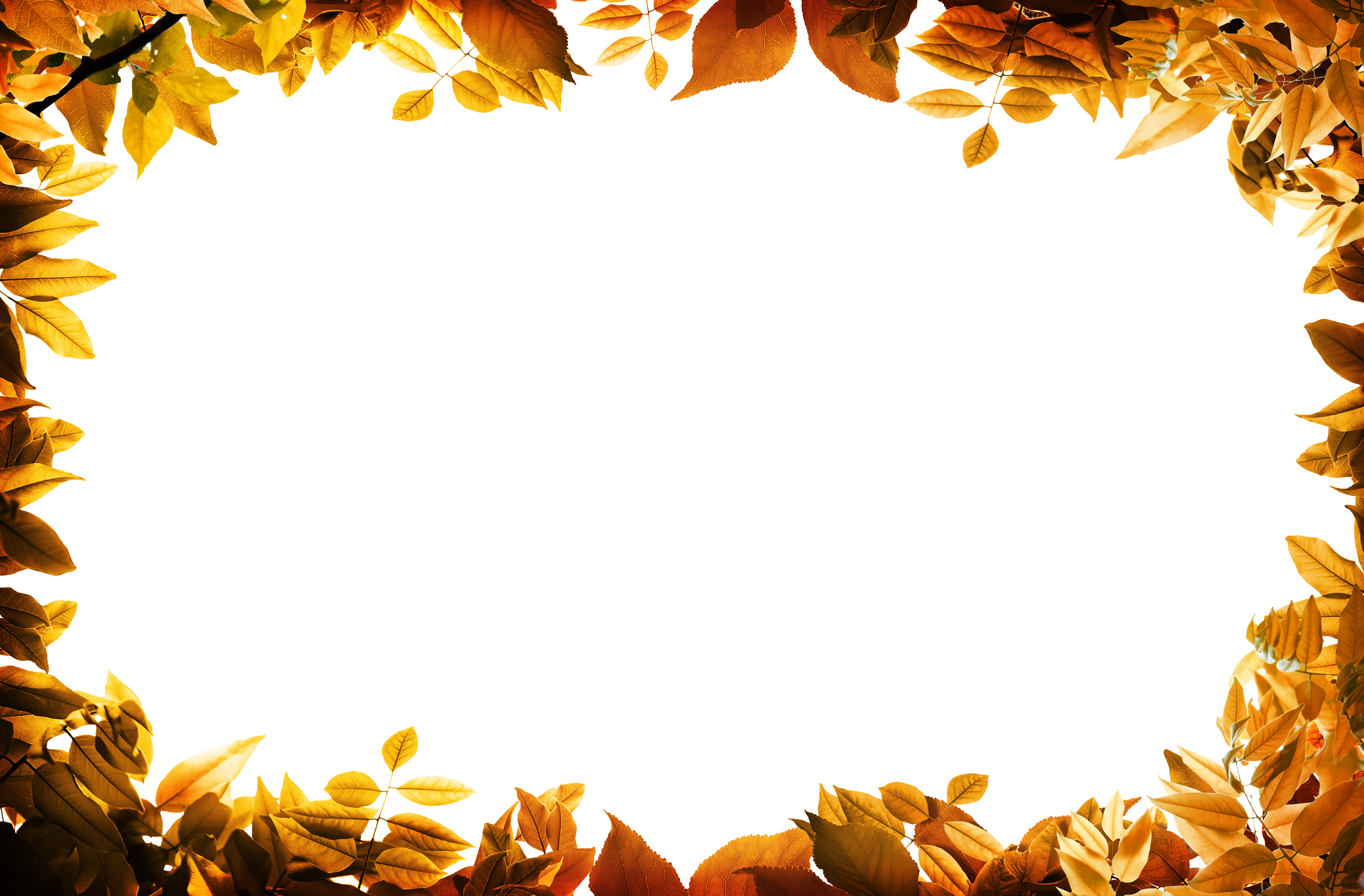 Рамка для фото из листьев Film Frame Leaf Autumn Clip Art - Leaves Oarange Border Png - (5000x3286) Png Cl