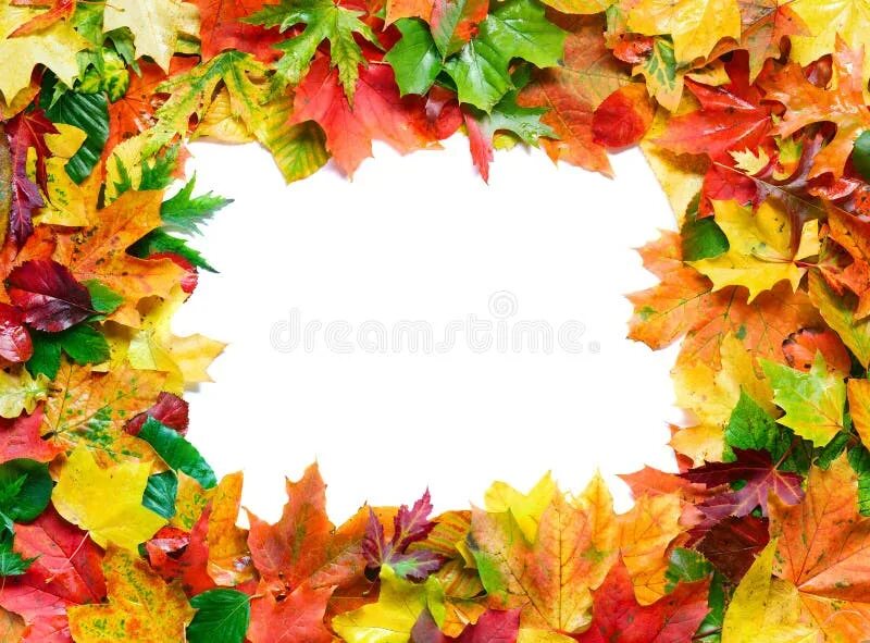 Corner Fall Leaves Изображения: просматривайте стоковые фотографии, векторные из