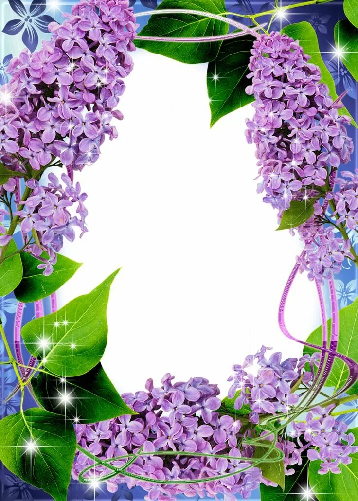 Рамка для фото май Beautiful Transparent PNG Frame with Lilac Transparent picture frames, Flower fr