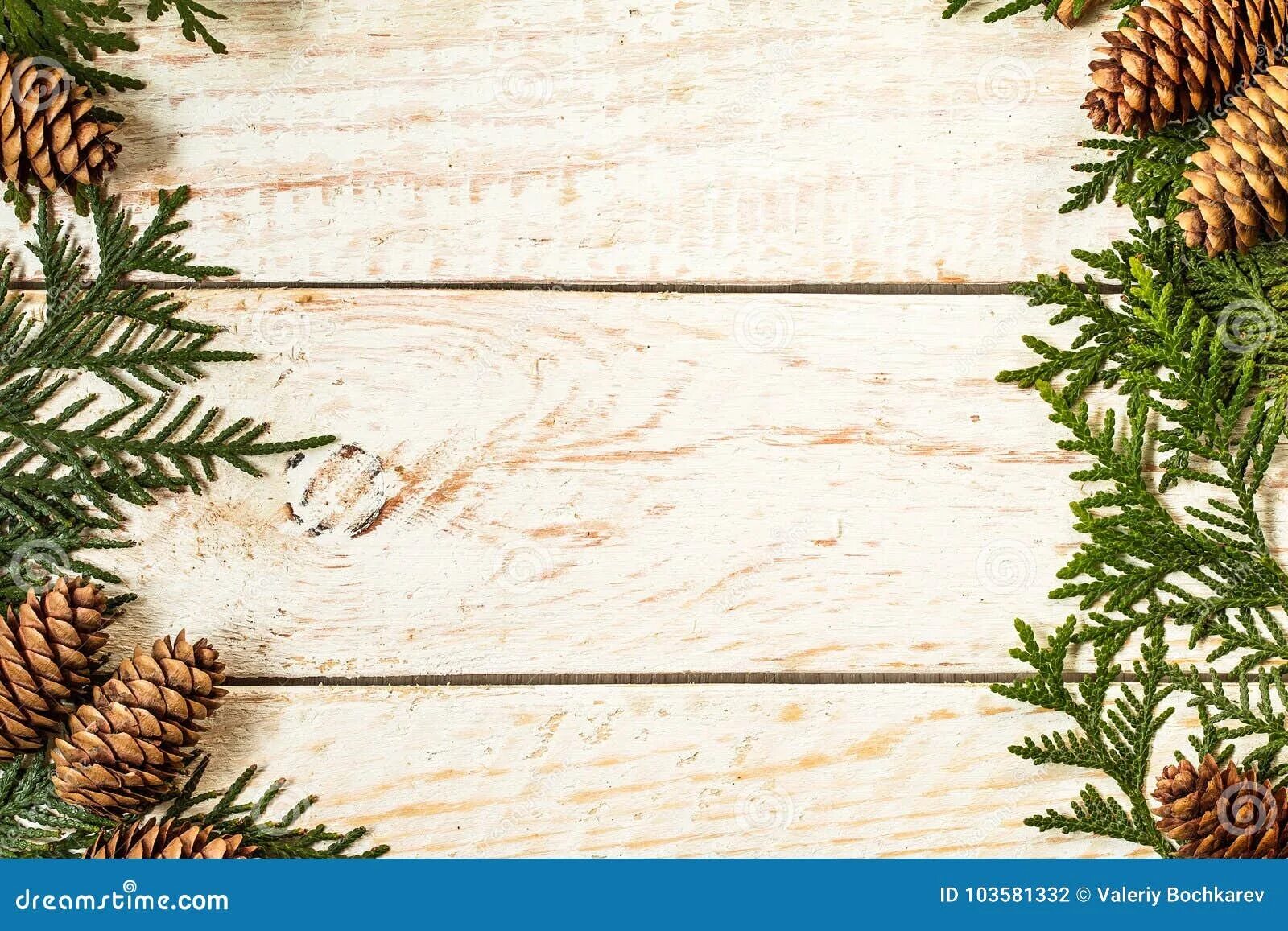 Рамка для фото сосна Christmas Light Frame Decorated with Fir Branches and Pine Cone Stock Photo - Im