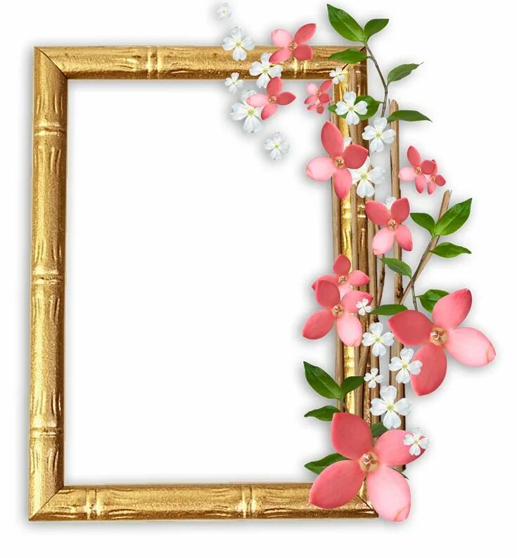 Рамки для оформления фото Marco para personalizar con tu foto Flower frame, Frame, Rose flower wallpaper