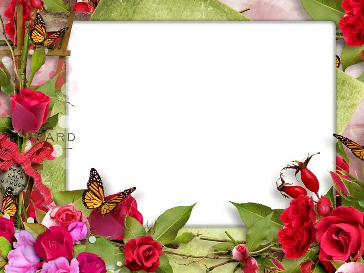 flower and glass boarder frame by collect-and-creat on DeviantArt Imagenes de ma