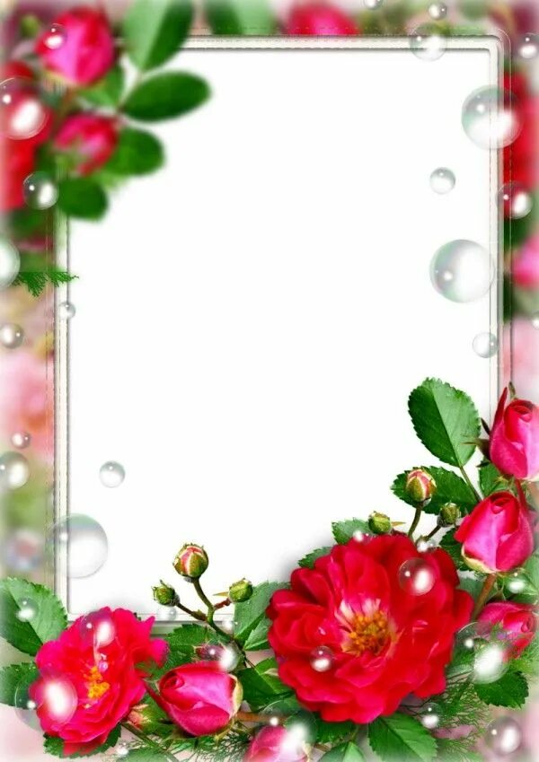 Рамки для оформления текста и фото Цветы шиповника, рамка для фото. Flower frame, Happy birthday cake pictures, Hea