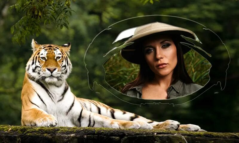 Рамки фото животные بہترین With Wild Animal Photo Frames متبادل اور ملتے جلتے ایپس