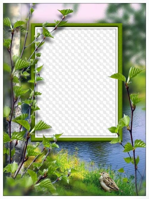 Рамки природа вставить фото бесплатно Photo frame collage, Spring nature. PSD, PNG